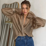 Arabella Long Sleeve Sheer Blouse