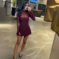 Mary Sheer Mesh Flared Mini Dress